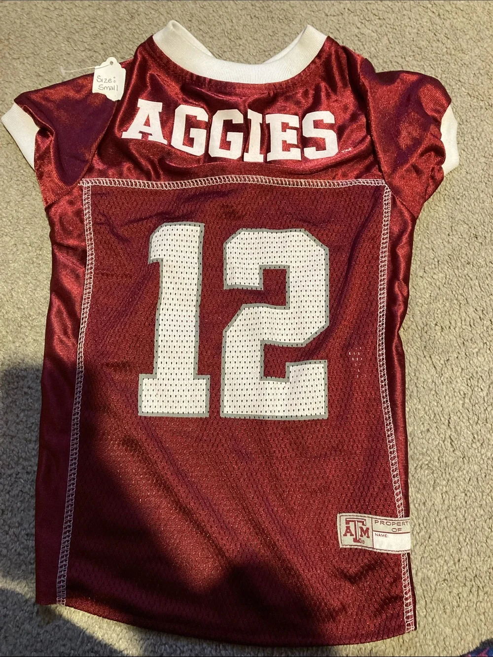 Dog football Jersey